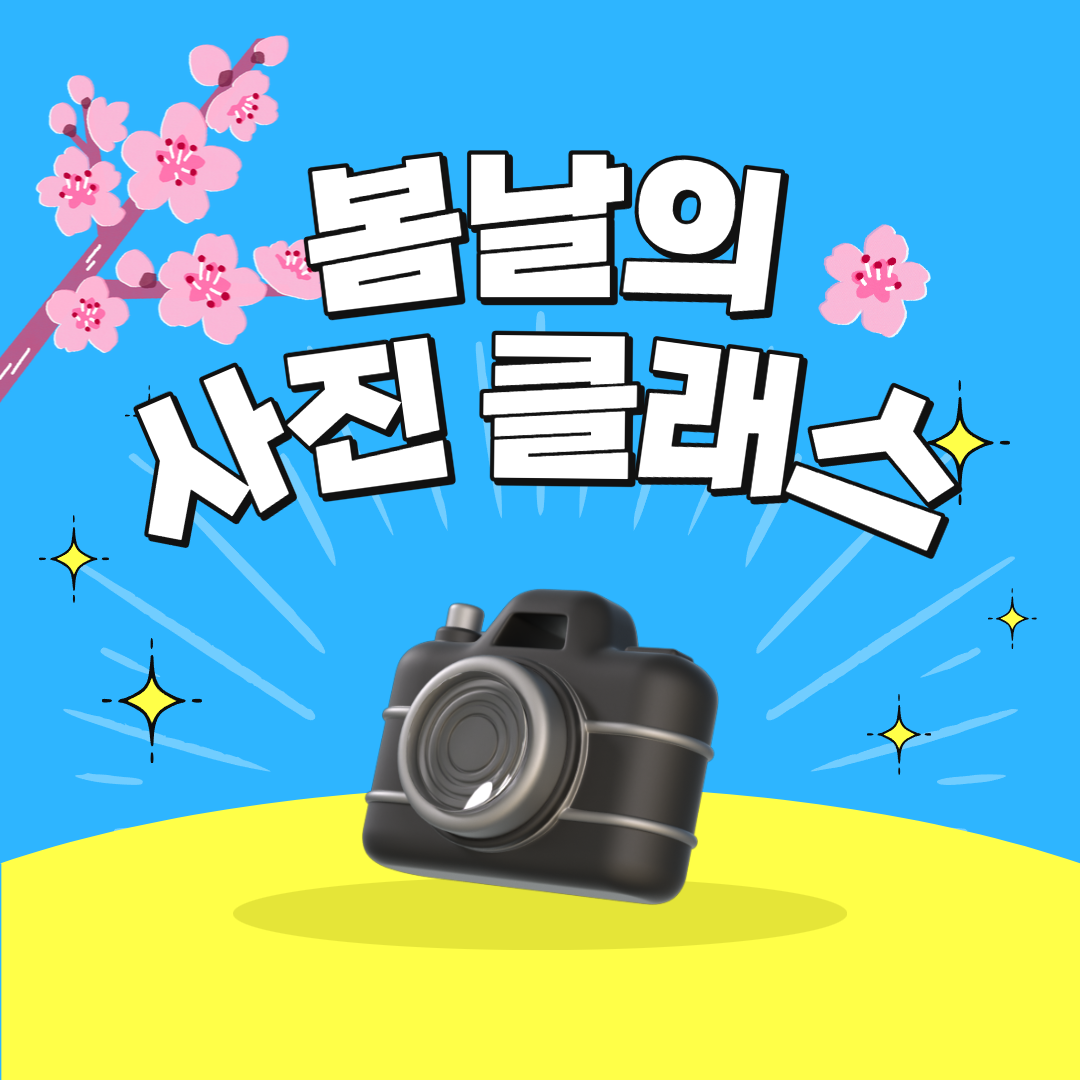 프로그램 이미지