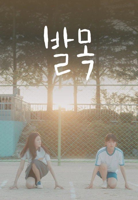 프로그램 이미지